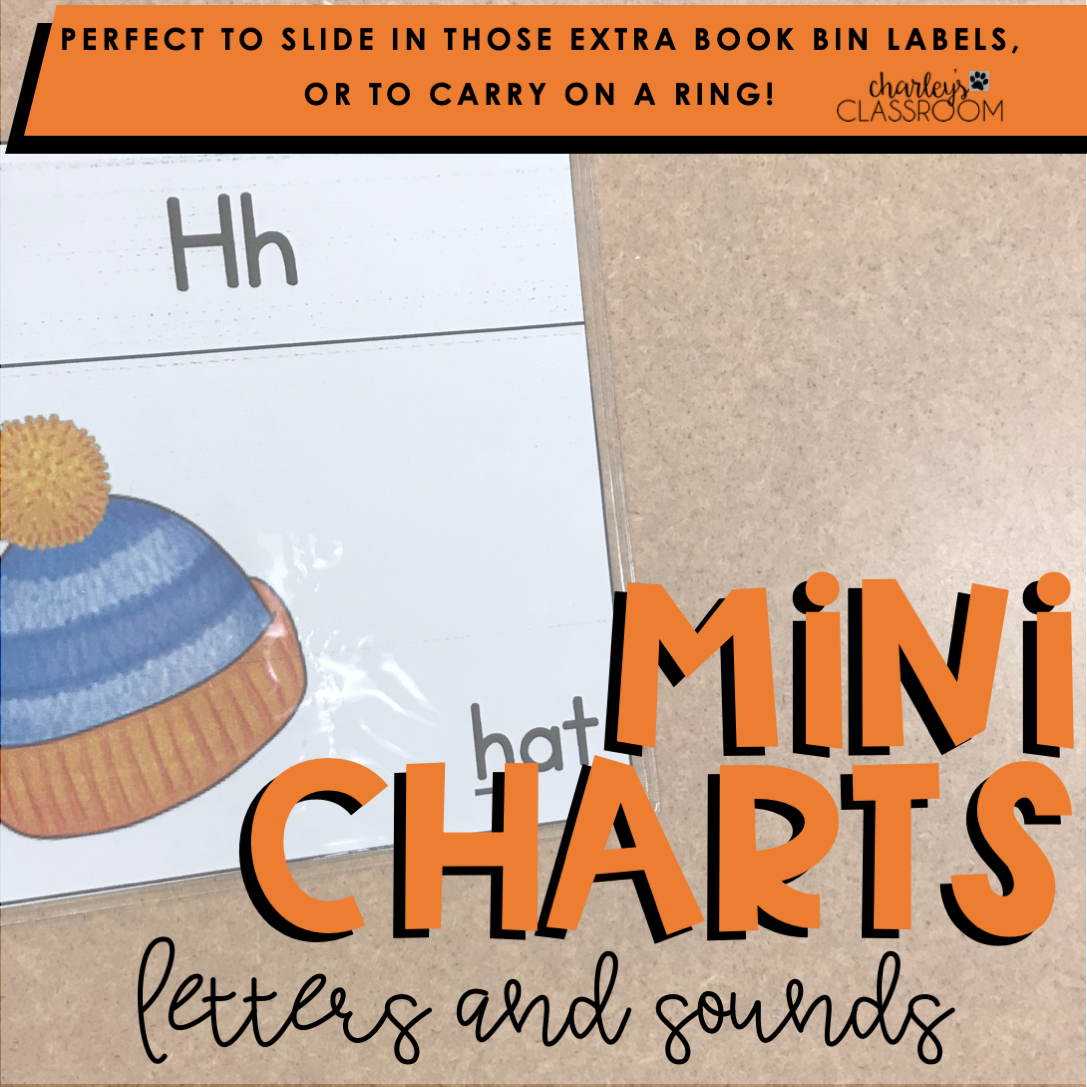 Letters and Sounds Mini Charts